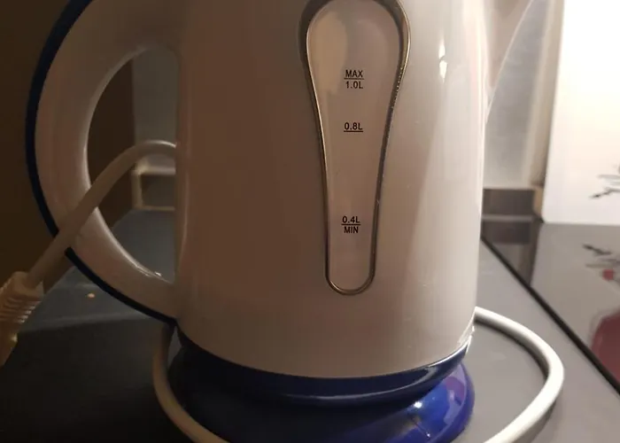 The 6